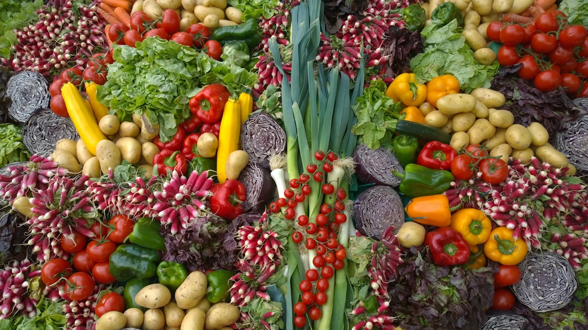 Makanan Organik